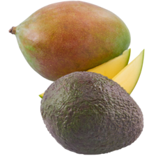 Mango of avocado